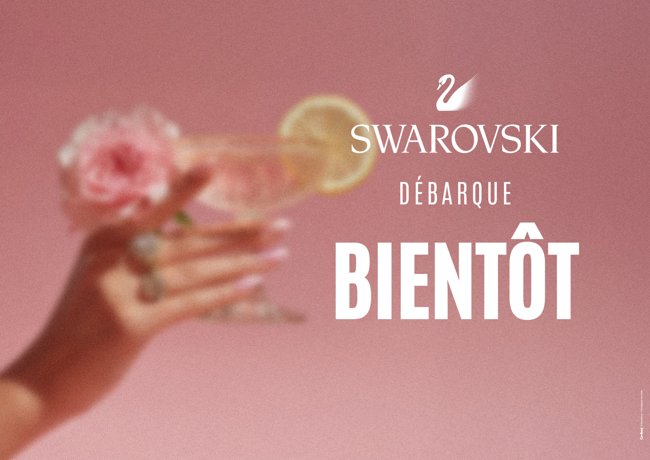 Prochainement Swarovski