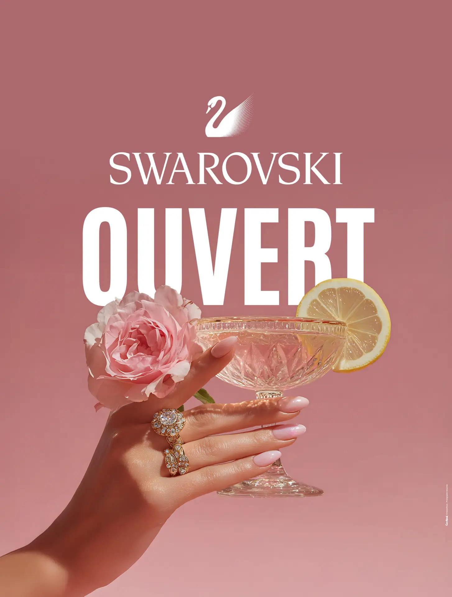 Ouverture Swarovski